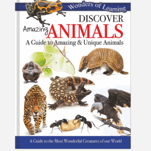 Wonders Of Learning Book - Discover Amazing Animals